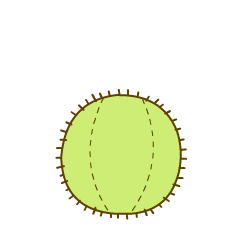 哟哈，你的小可爱上线了