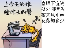 上今天的班，睡昨天的觉