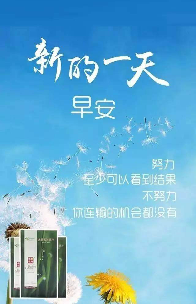 新的一天早安，不努力你连输的机会都没有