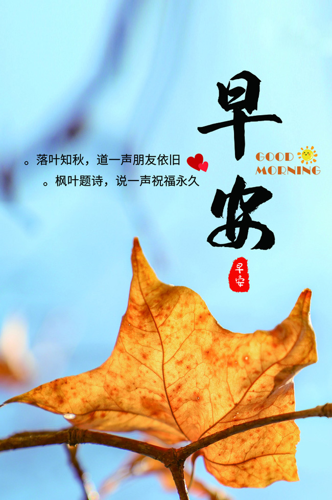 朋友之间暖心的早安问候图片