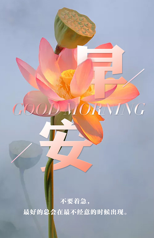 最美最漂亮的早安图片