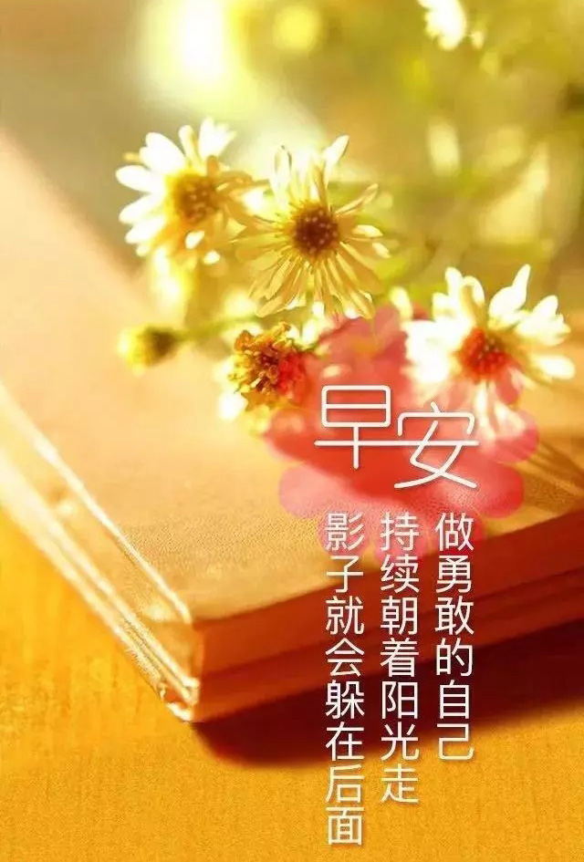 励志的早上好图片，朝着阳光前进，影子会躲身后