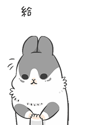 懒猪，给我起来