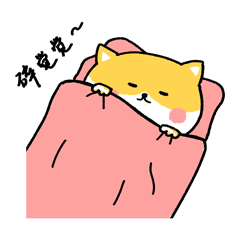 盖上被子睡觉觉