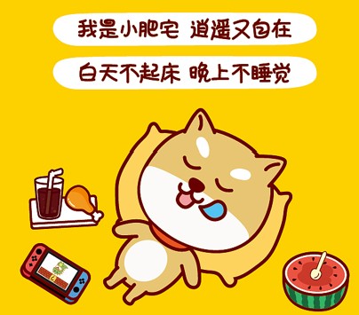 白天不起床，晚上不睡觉