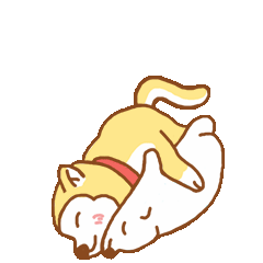 晚安！单身狗要睡觉了