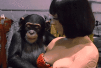 妹子与猩猩拍照，猩猩的行为有点猥琐