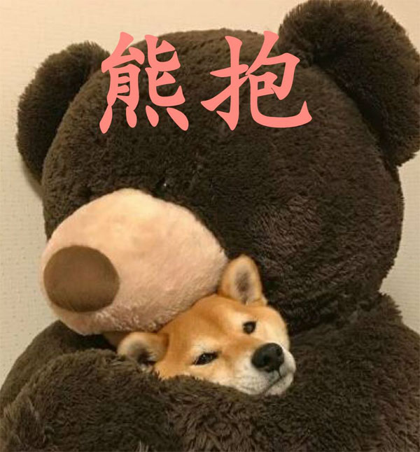 我想给你一个大大的熊抱