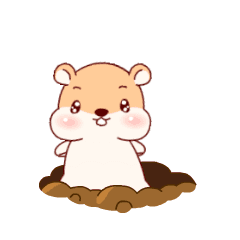 美女，送你一束鲜花