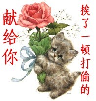 我送给你的花，挨一顿打偷的