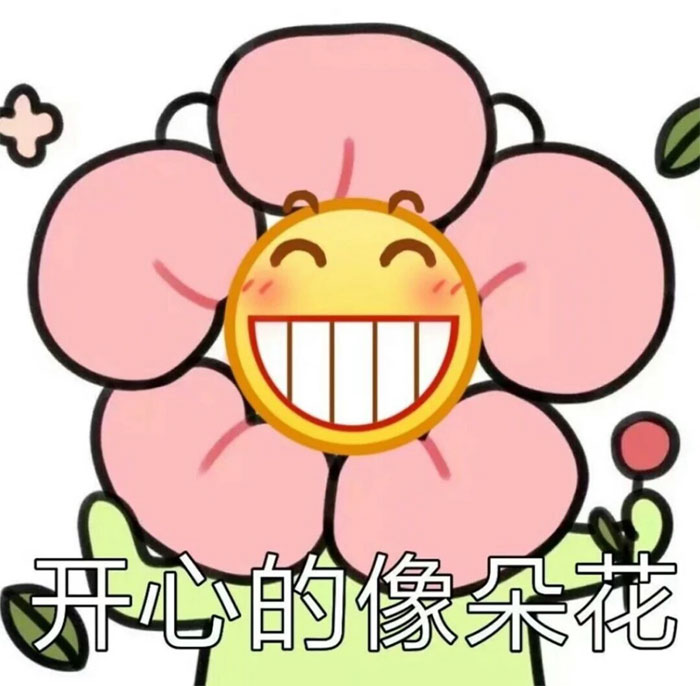 开心的像朵鲜花