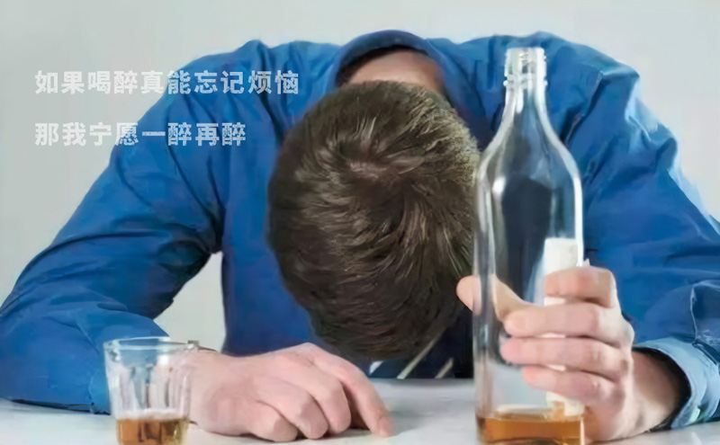 如果喝醉能忘记一切烦恼，那我宁愿一醉再醉