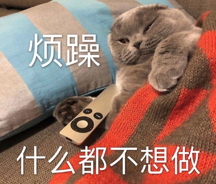 当只猫也很烦躁，什么都不想去做