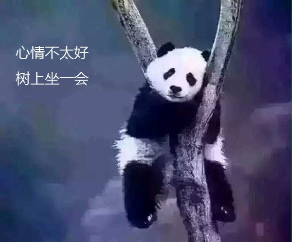 心情不太好，到树上坐一会
