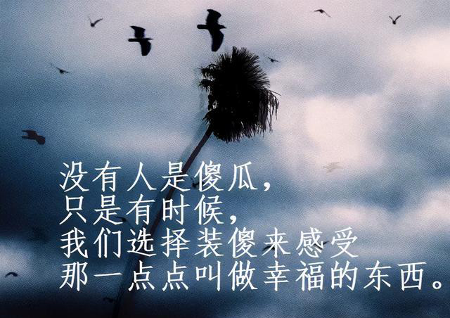 有时候，我们选择装傻来感受幸福