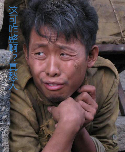 这可咋整啊？真是愁死个人