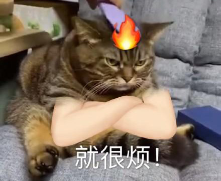 不知道为什么，就是感觉很心烦