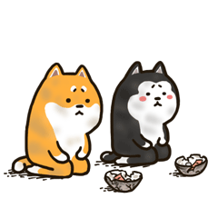 太穷了，结队要饭