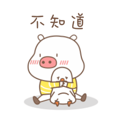 不知道不知道