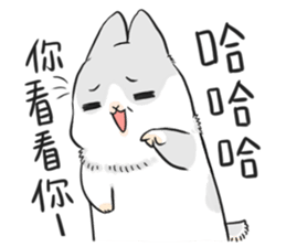 你看看你，哈哈哈