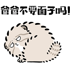 爸爸不要面子的吗