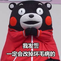 我发誓，一定会改掉那些坏毛病的