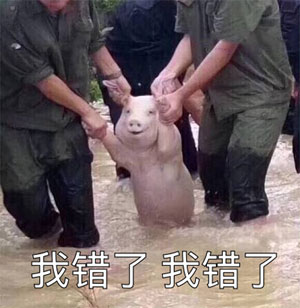 我错了，别把我拖去卖啊