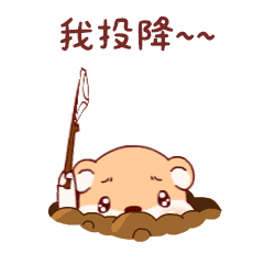 我举白旗，我投降