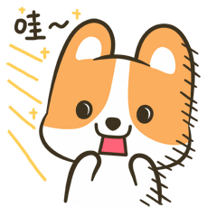 哇！好惊喜好意外