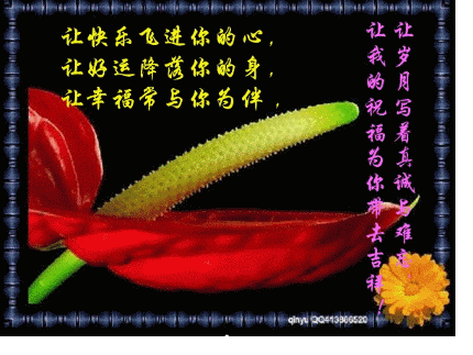 让好运降落在你的身边