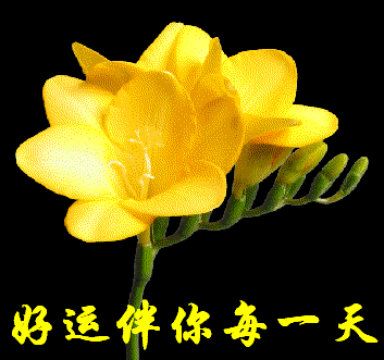 愿好运伴你每一天