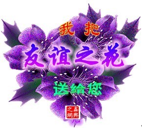 我把友谊之花送给你