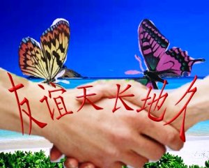 握个手吧，愿友谊地久天长