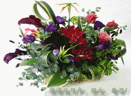 轻轻的问一声，朋友你好