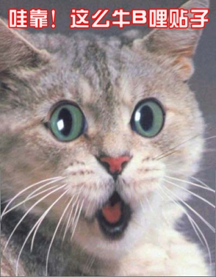 哇靠，这么牛B的帖子