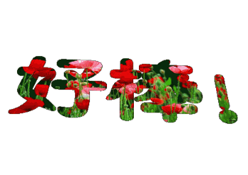 送你两个字“好棒”