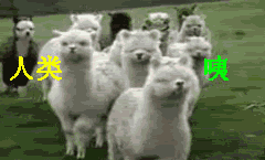 一起过来围观他