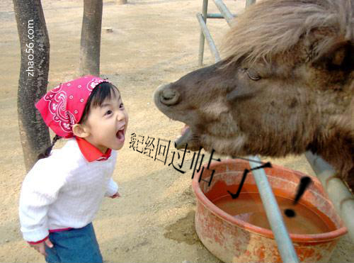 我已经回过贴了