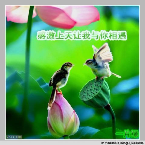 感激上天让我与你相遇