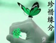 让我们珍惜缘份