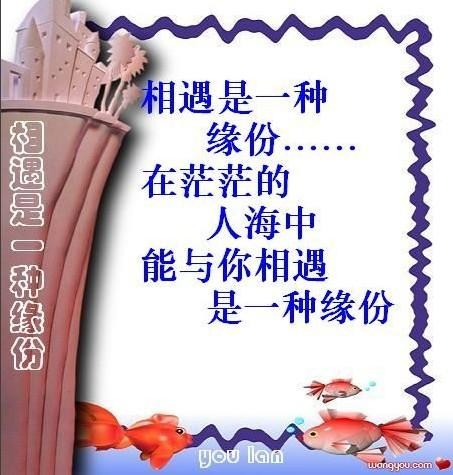 茫茫人海，与你相遇是一种缘