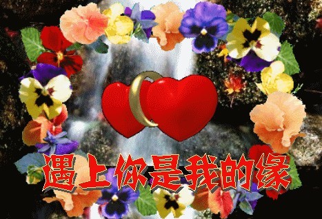 偶上你是最大的缘份