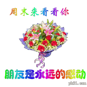 周末过来看看你