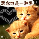 思念也是一种累