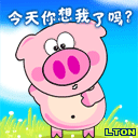 今天，你有想我吗