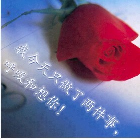 今天只做了两件事，呼吸和想你