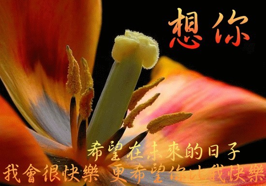 我想你， 希望我们都快乐