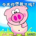 今天你想我了吗