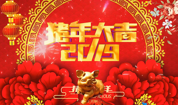 2019猪年大吉