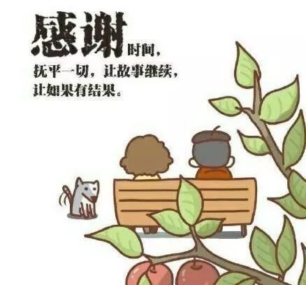 感谢时间，让故事继续，让如果有结果